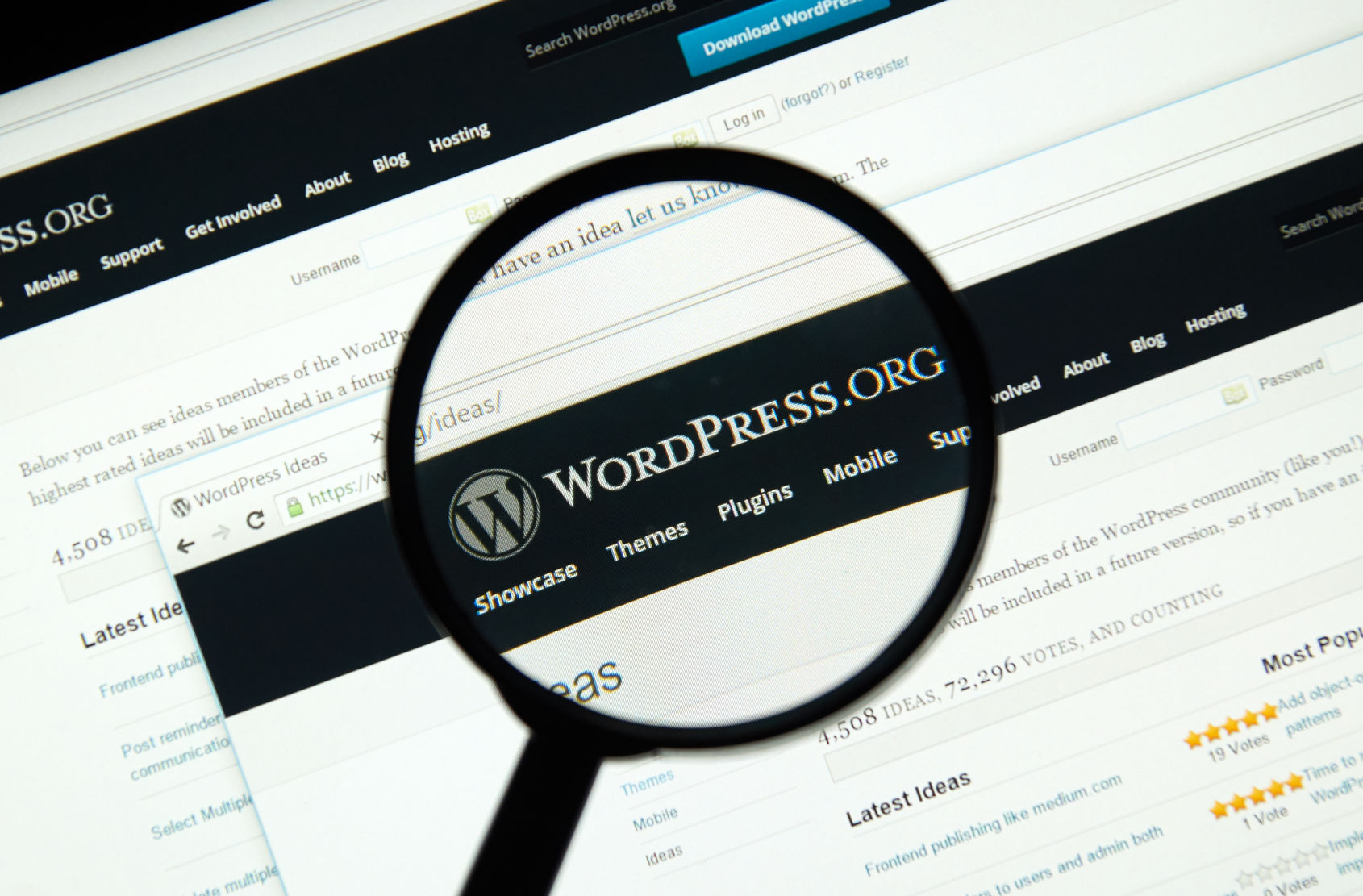 Why You Shouldn't Create a WordPress Website